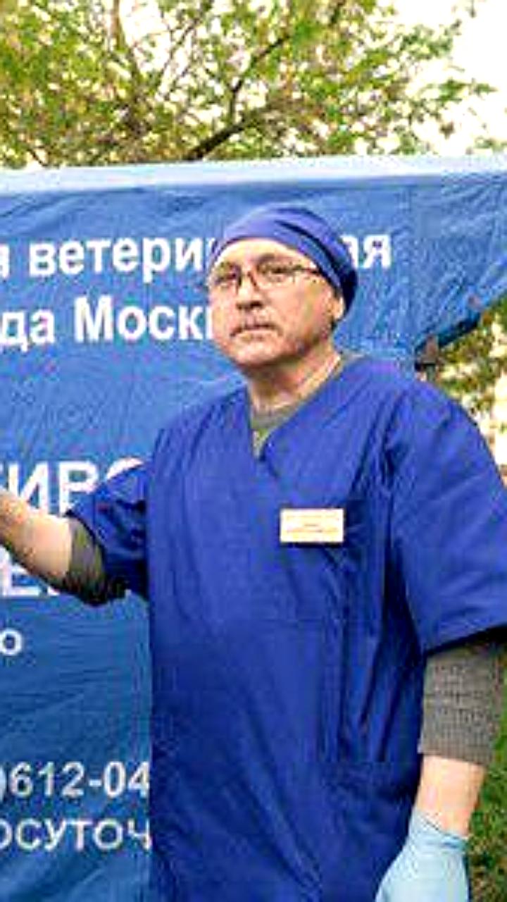 Вакцинация животных: Молдова и Москва запускают программы защиты от бешенства