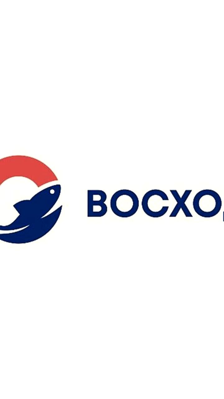 АФК «Система» продала контроль над холдингом «Восход» предпринимательнице Милане Керимовой