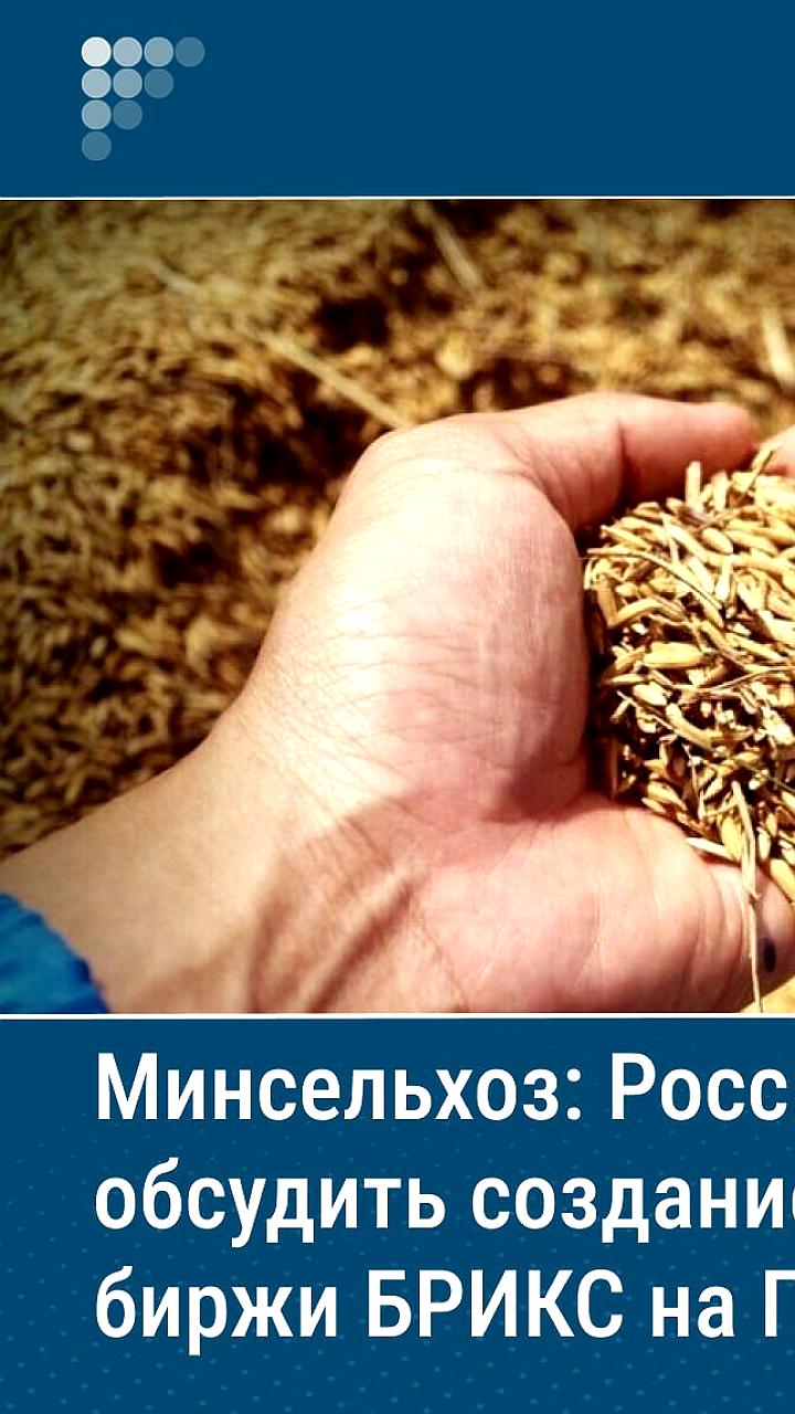 Россия обсудит создание зерновой биржи БРИКС на ПМЭФ
