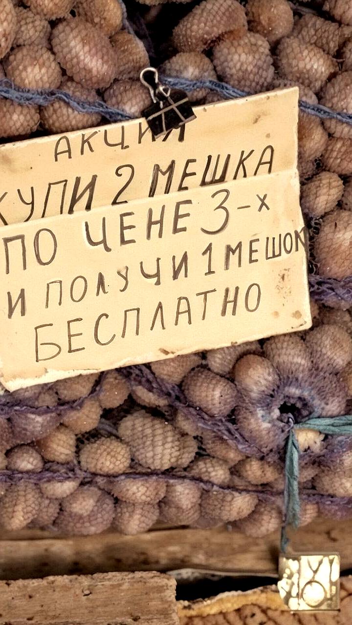 Минсельхоз России сообщает о снижении цен на картофель на 3,3% у производителей