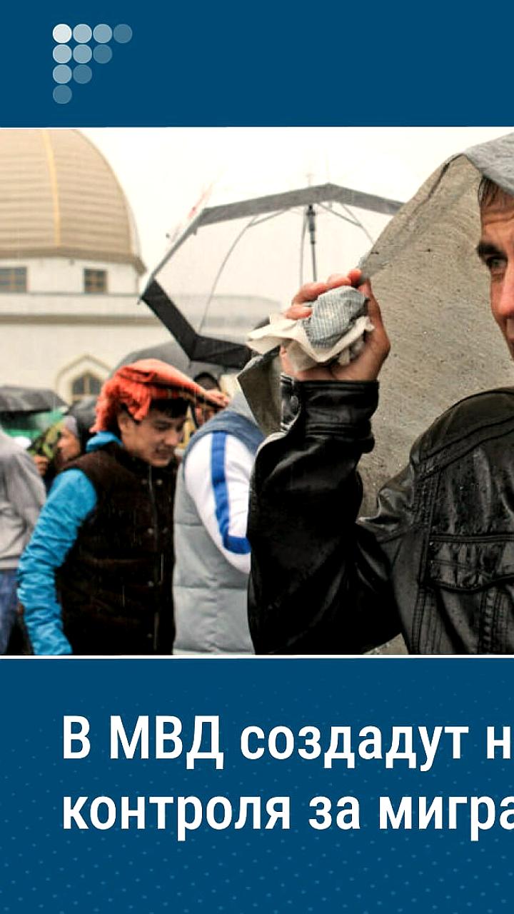 Создание новой службы по вопросам гражданства и миграции в полиции