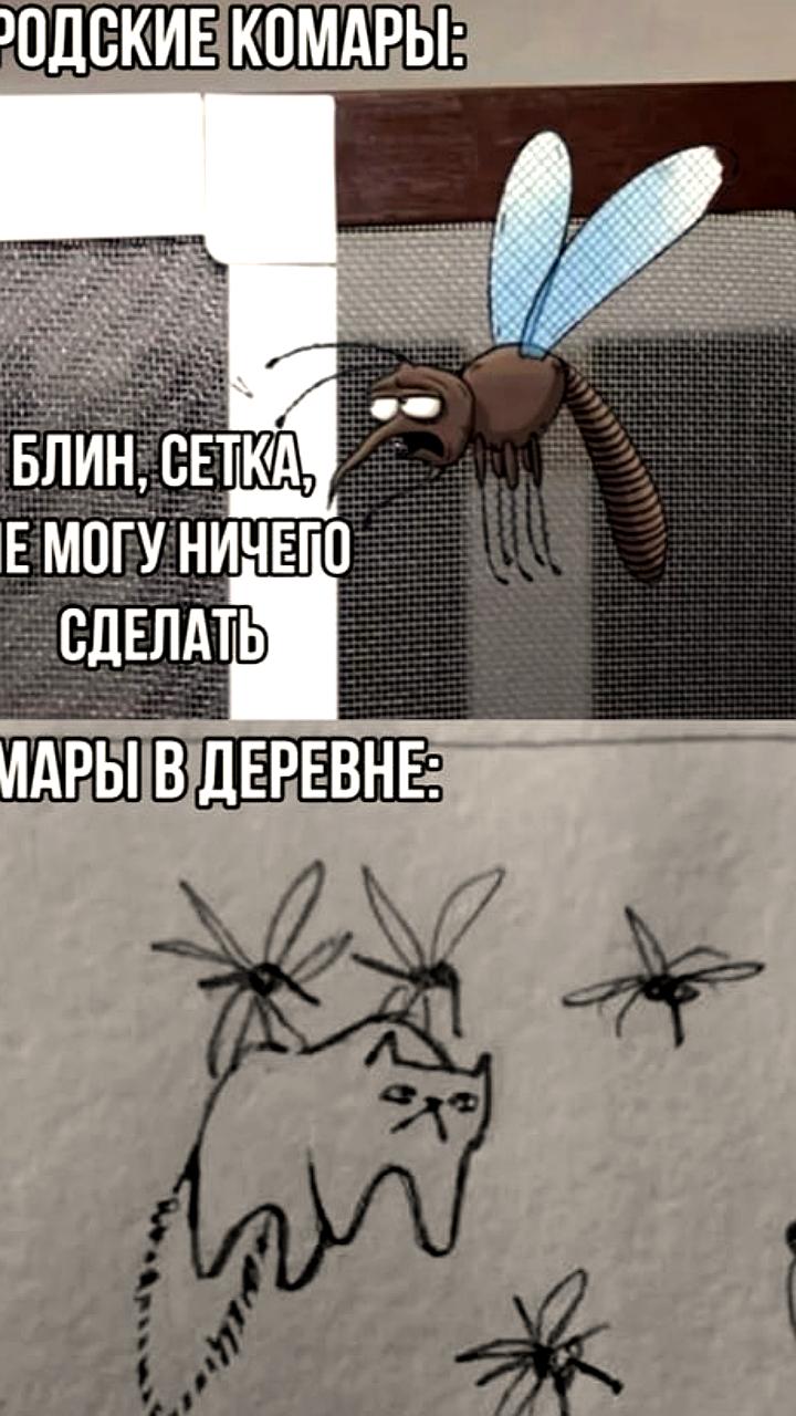 Эксперты предсказывают увеличение численности комаров в Москве этим летом