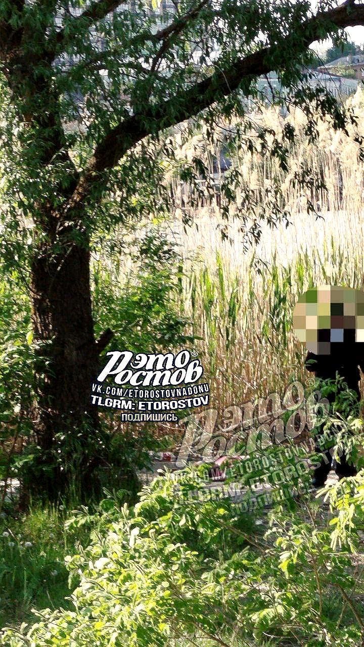 На Зеленом острове в Ростове обнаружены тела двух женщин