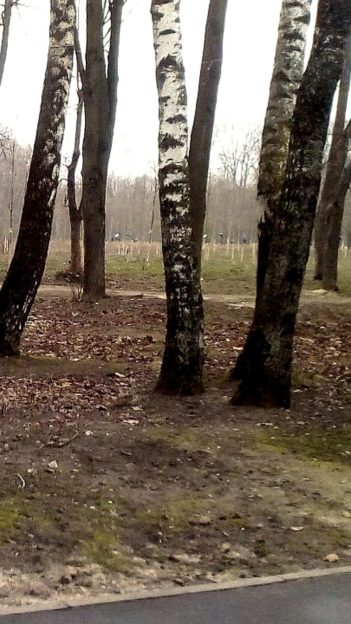 Акарицидная обработка лесов Свердловской области для безопасности туристов