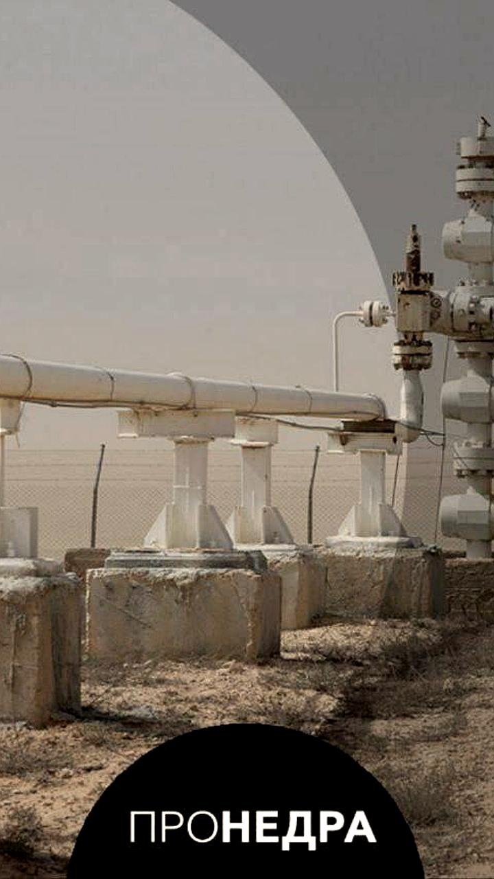 Индия увеличивает импорт нефти из США и Ирака в 2024 году