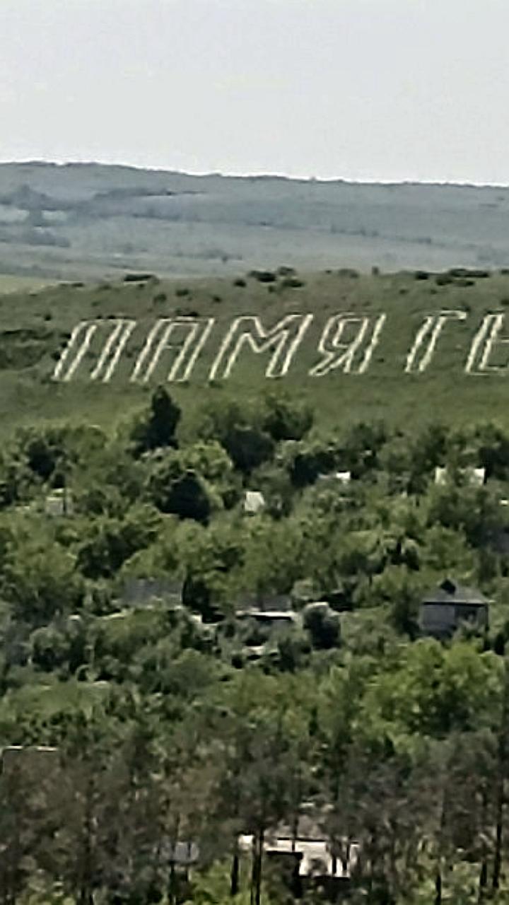 В Волгограде высажены сакуры в память о героях Великой Отечественной войны
