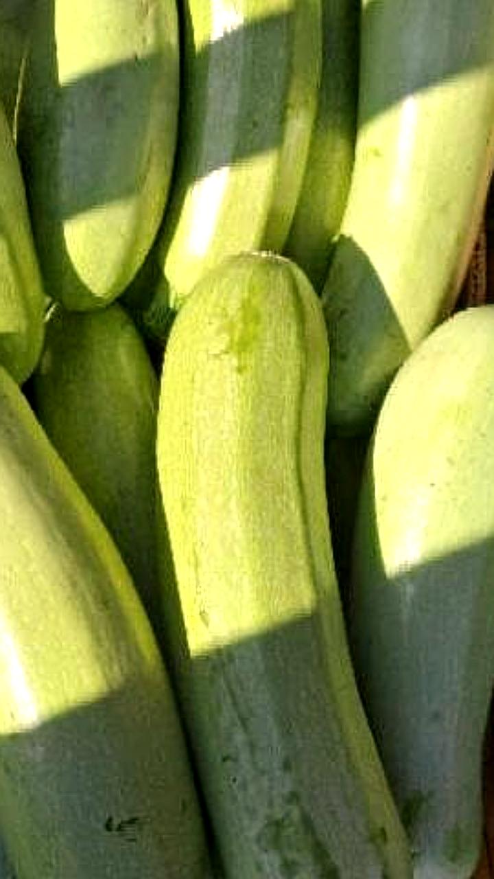 Ярмарки выходного дня в Рязани и Краснодаре: свежие продукты от местных производителей