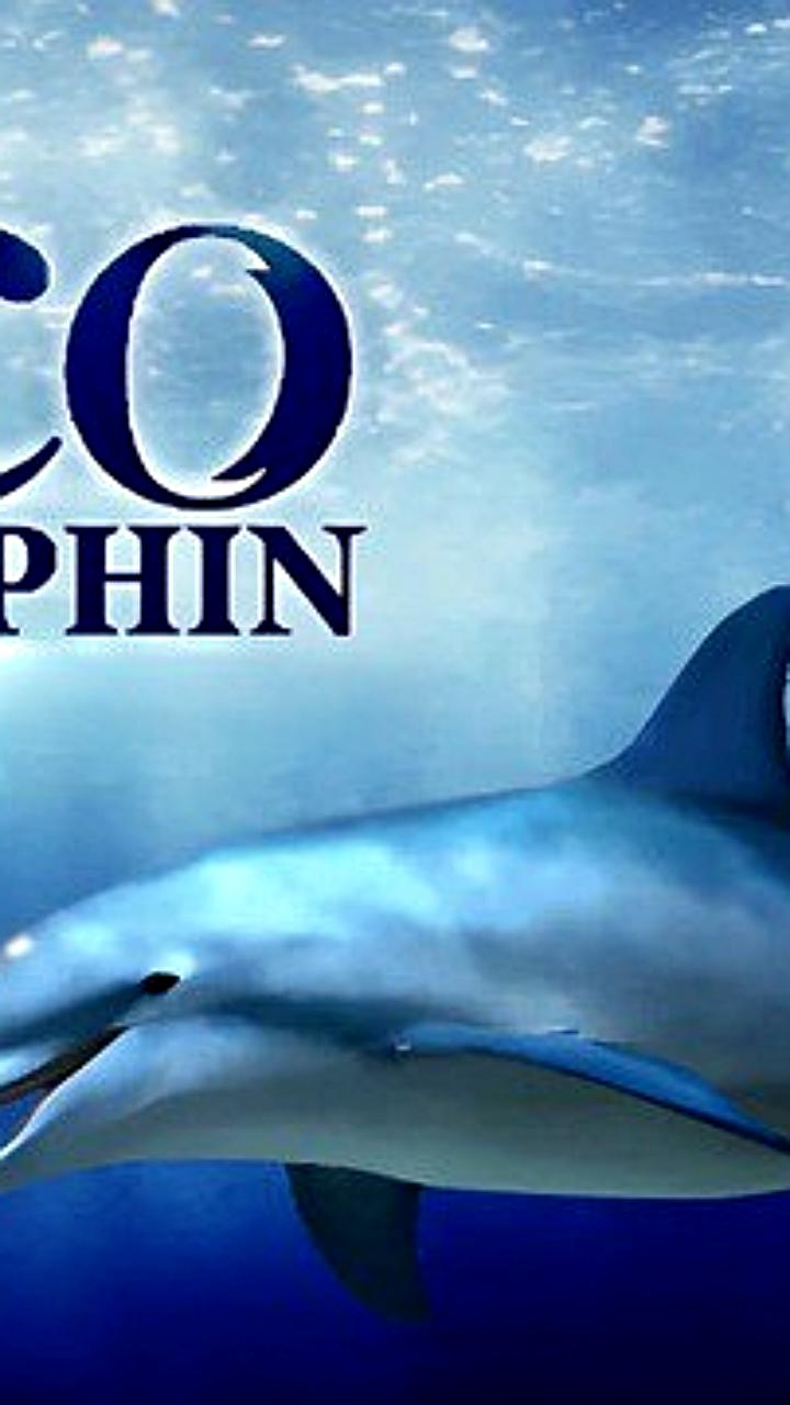 Возвращение Ecco the Dolphin: ремастеры и новый триквел в разработке