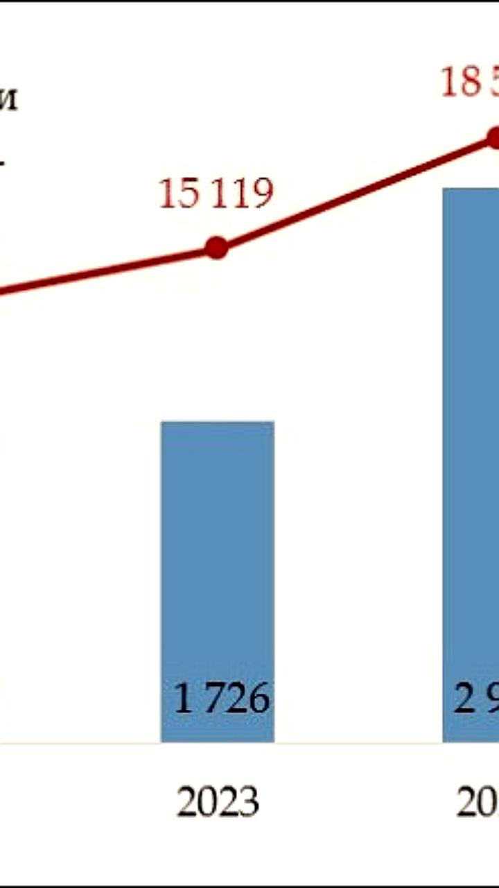 Кыргызстан устанавливает рекорд по трансграничным переводам в 2024 году