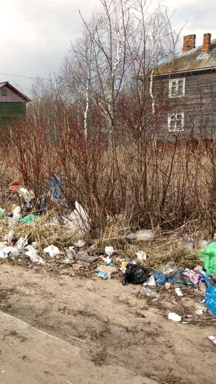 Проверки природоохранных прокуратур выявили нарушения в зарыблении водоемов