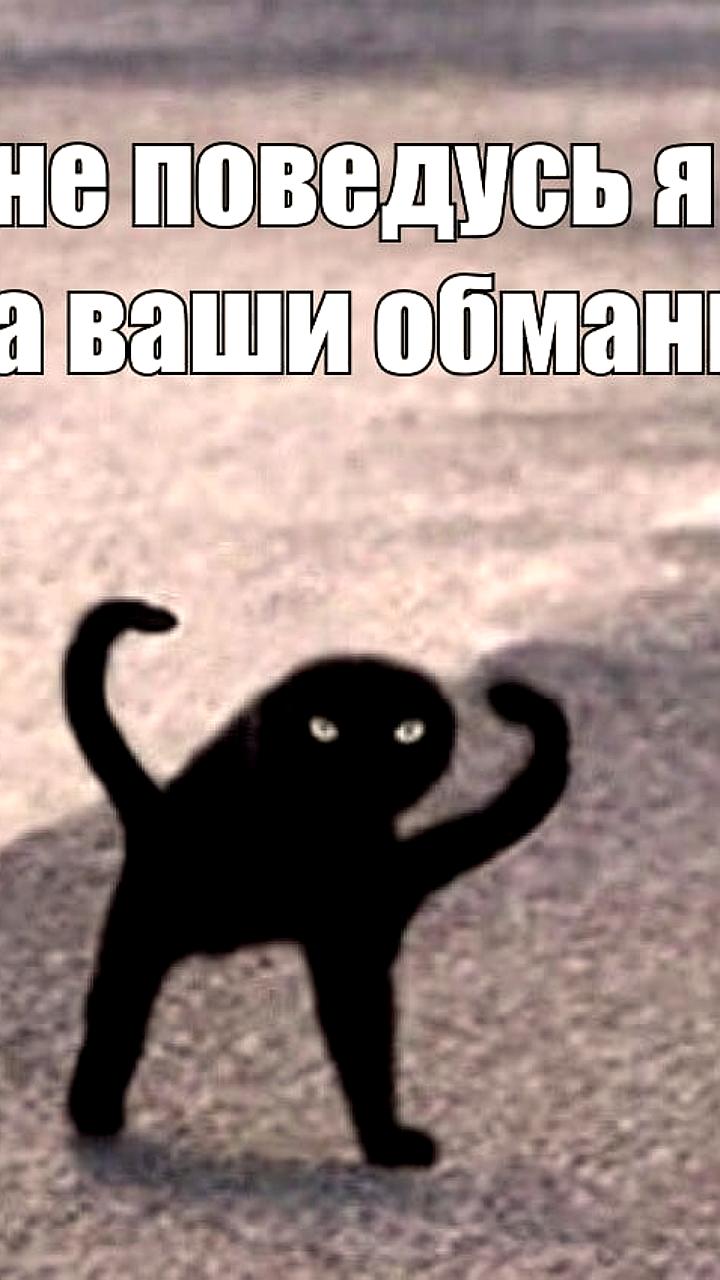 Мошенники под видом операторов связи предлагают россиянам 'ускорить' интернет
