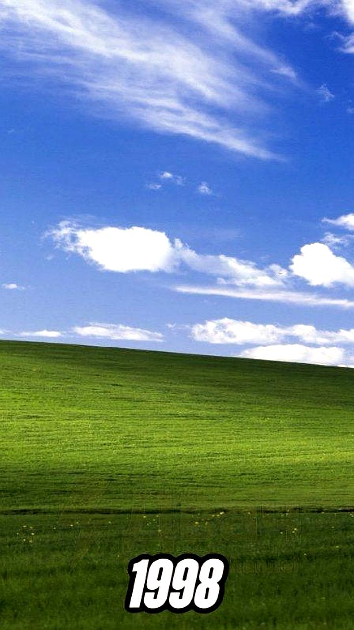Культовый холм из Windows XP изменился: виноградники восстановлены
