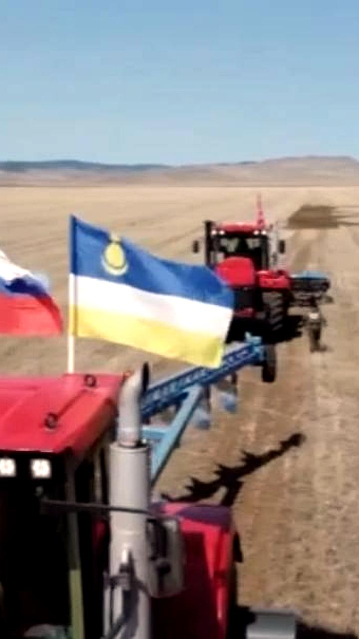 В Бурятии стартовала посевная кампания с увеличением площади посевов