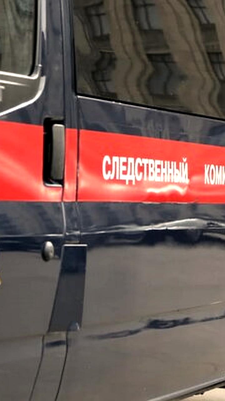 Экс-замглавы СК Петербурга признал вину в вывозе оружия из зоны СВО