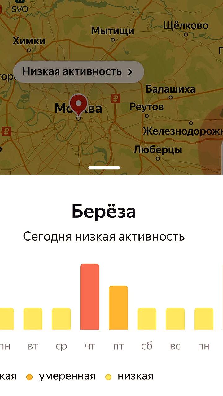 Врач рекомендует аллергикам в Москве сократить время на улице и соблюдать меры предосторожности