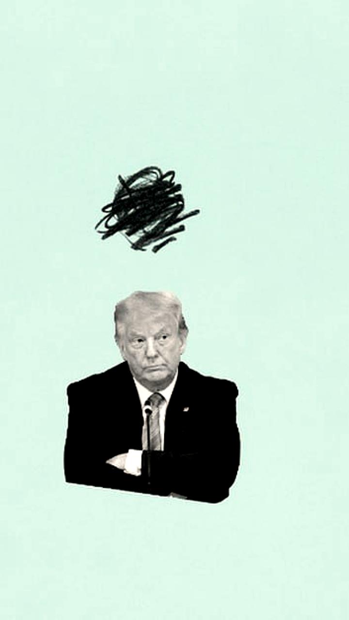 Трамп планирует телефонный разговор с Си Цзиньпином после успешных переговоров