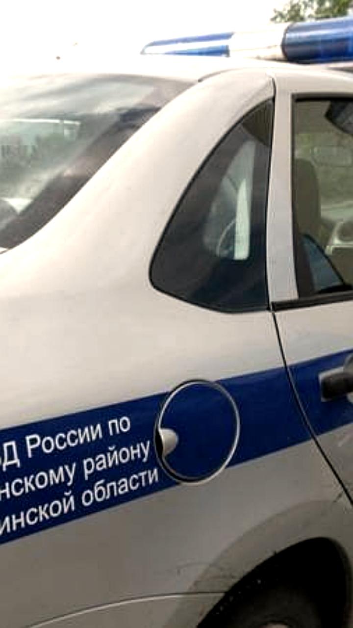 В Саткинском округе задержан браконьер, незаконно вырубавший хвойные деревья