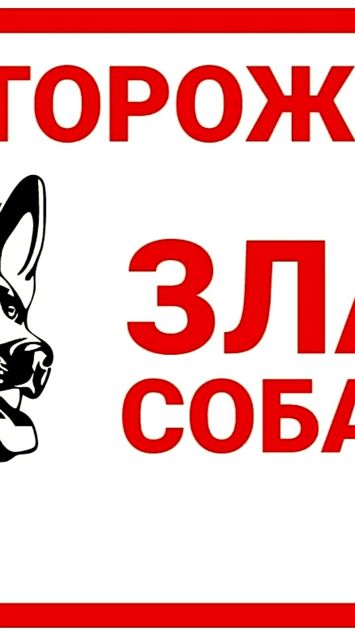 Прокуратура добивается компенсации за нападение бездомной собаки на детей