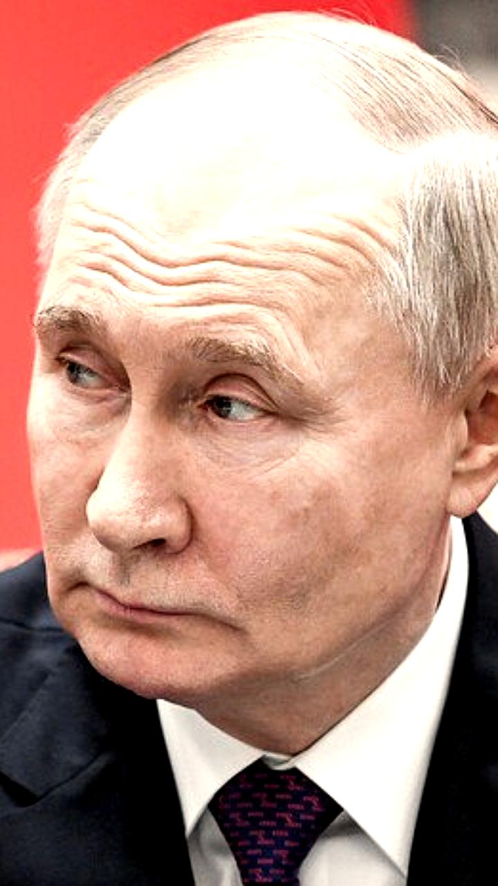 Путин о возвращении западных брендов в Россию: извинений недостаточно