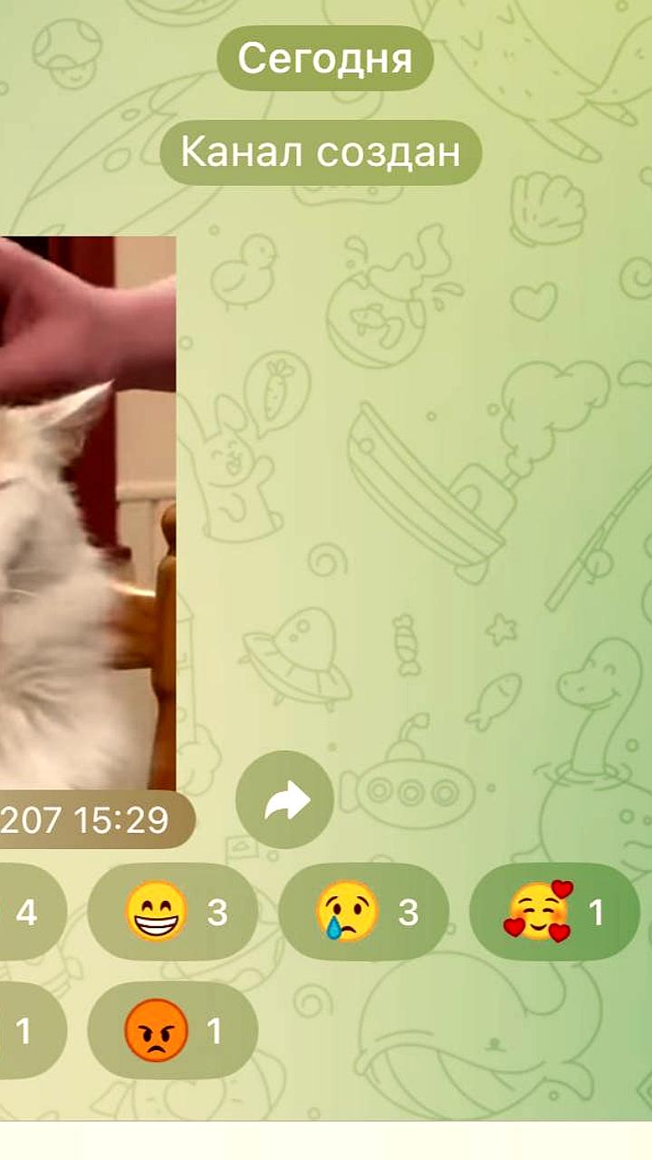 Канал MR7 исчез из Telegram: редакция расследует причины