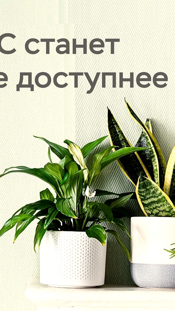 Госдума одобрила заключение договоров долгосрочных сбережений через Госуслуги с октября 2023 года