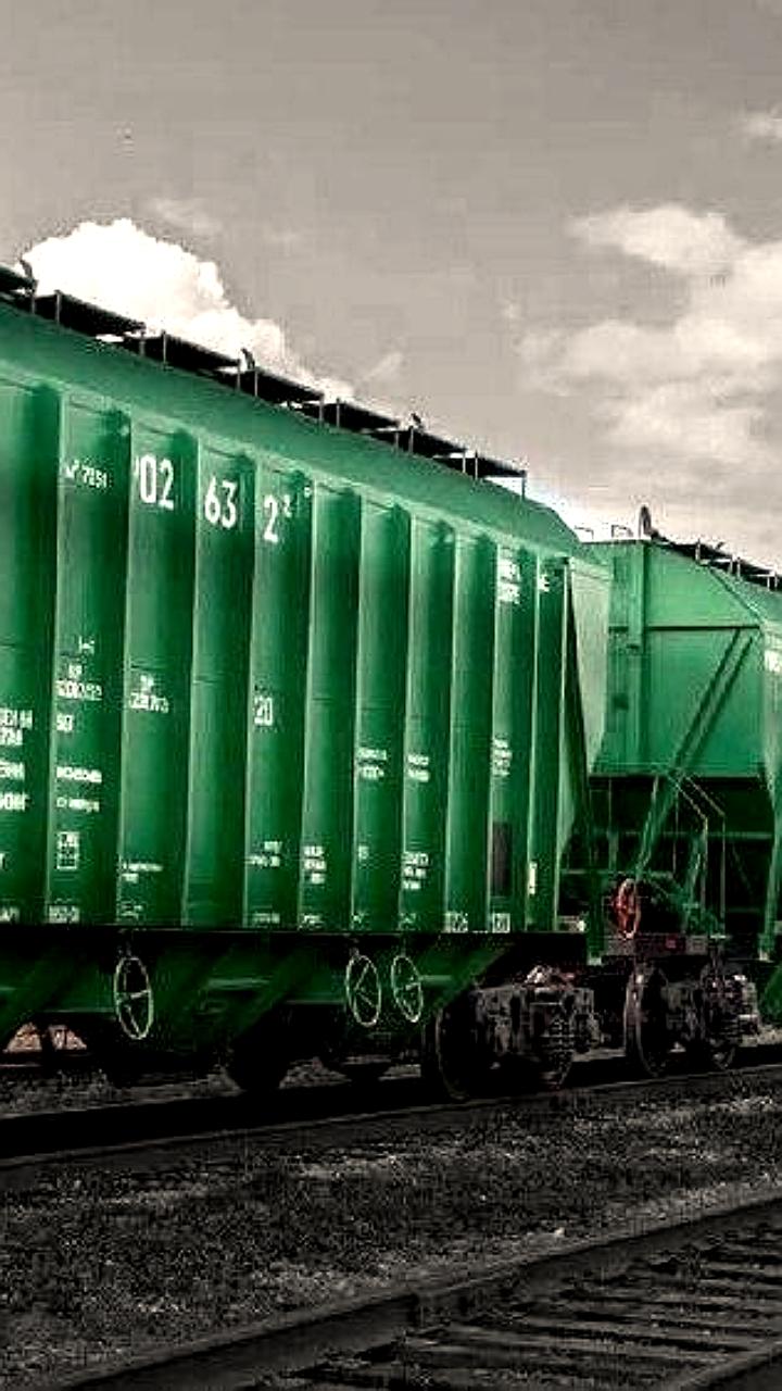 Объем контейнерных перевозок увеличился на 0,6%, несмотря на снижение по железным дорогам