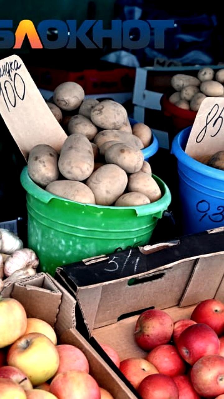 Рост цен на продукты и услуги в России: анализ изменений за 10 лет