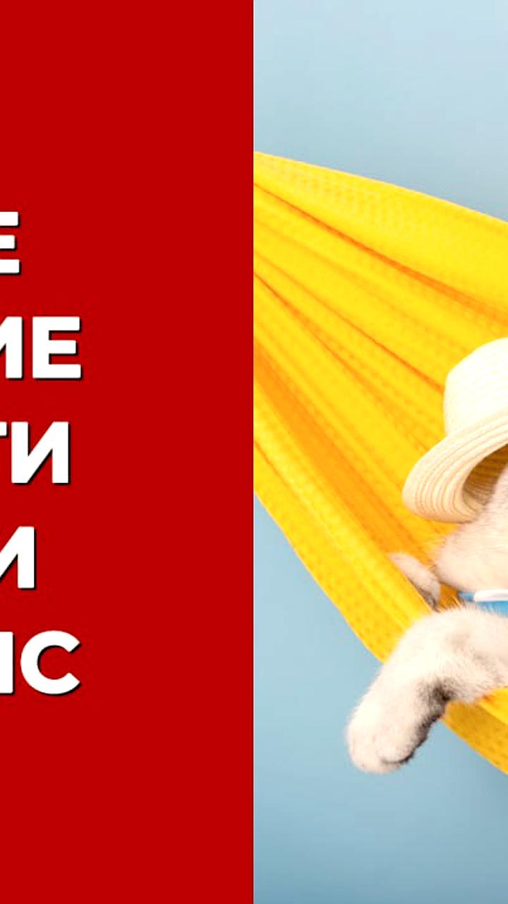 Упрощение уведомлений по НДФЛ и новые требования для бухгалтеров