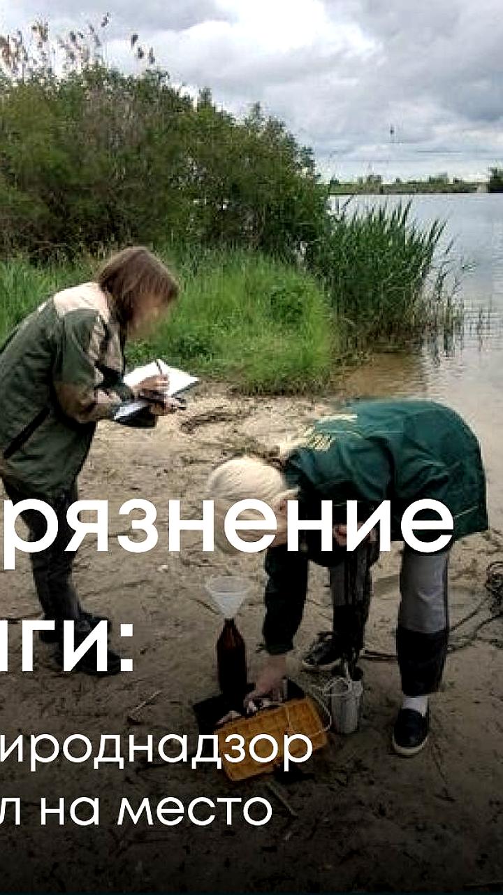 Проверка акватории Волги на загрязнение нефтепродуктами в Светлоярском районе