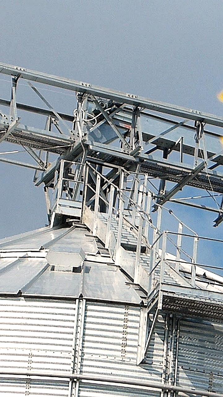 Новороссийский комбинат хлебопродуктов объявил дивиденды за 2024 год