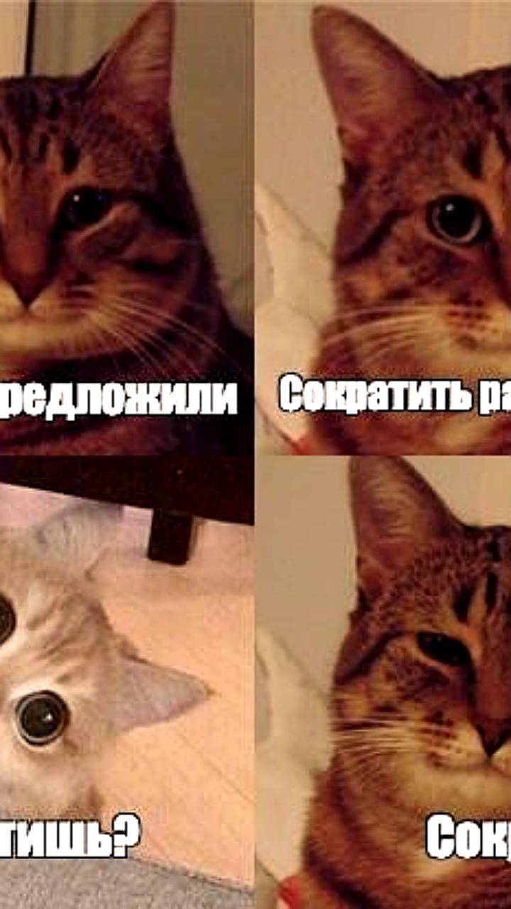 Инициатива о сокращении рабочего дня для женщин поддержана 67% россиян