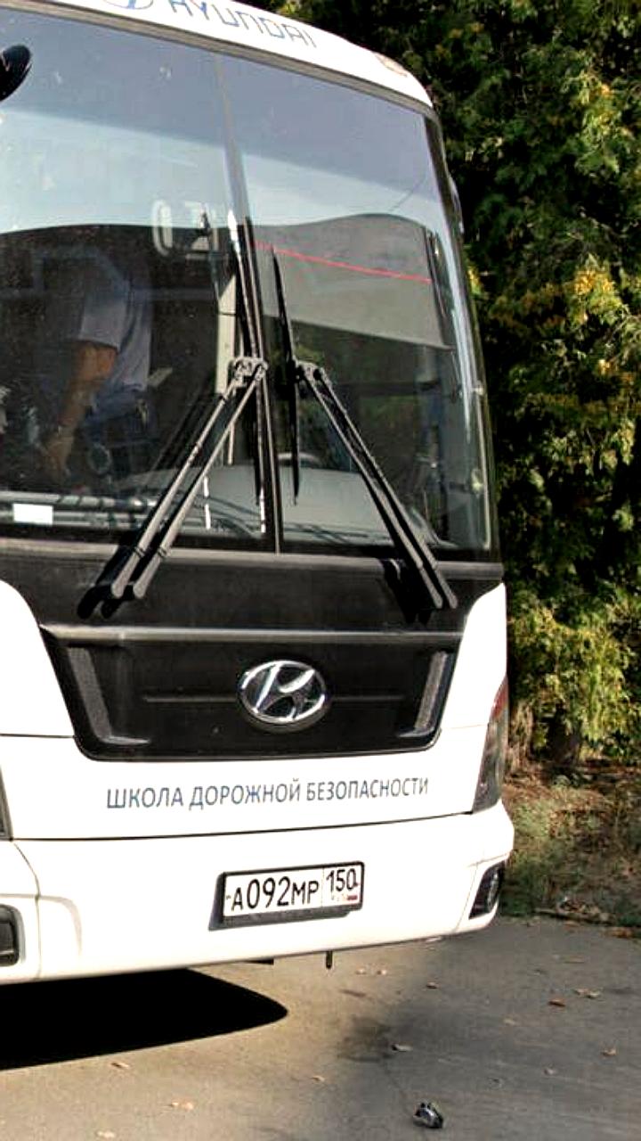 Госавтоинспекция напоминает о правилах перевозки детей автобусами в летний сезон