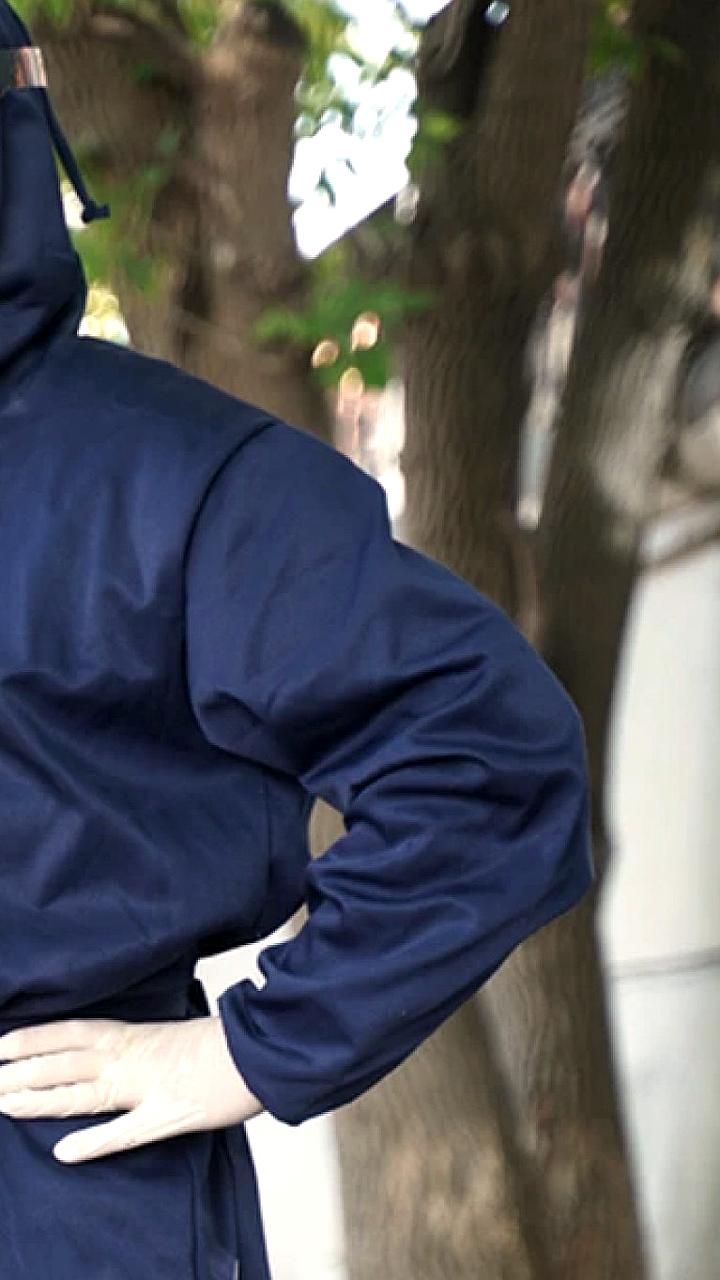 Карантин по бешенству введен в селе Ячейка Воронежской области