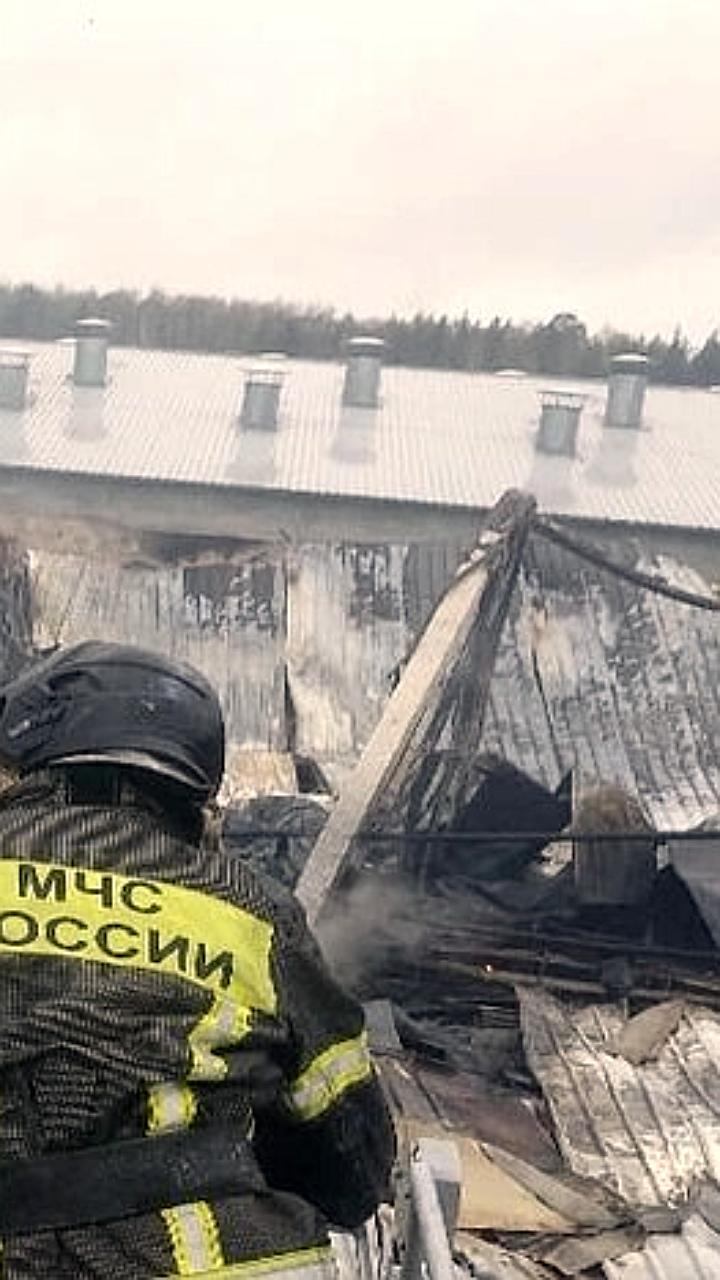 Пожар в Рефтинском: ликвидировано открытое горение на площади 1620 м²