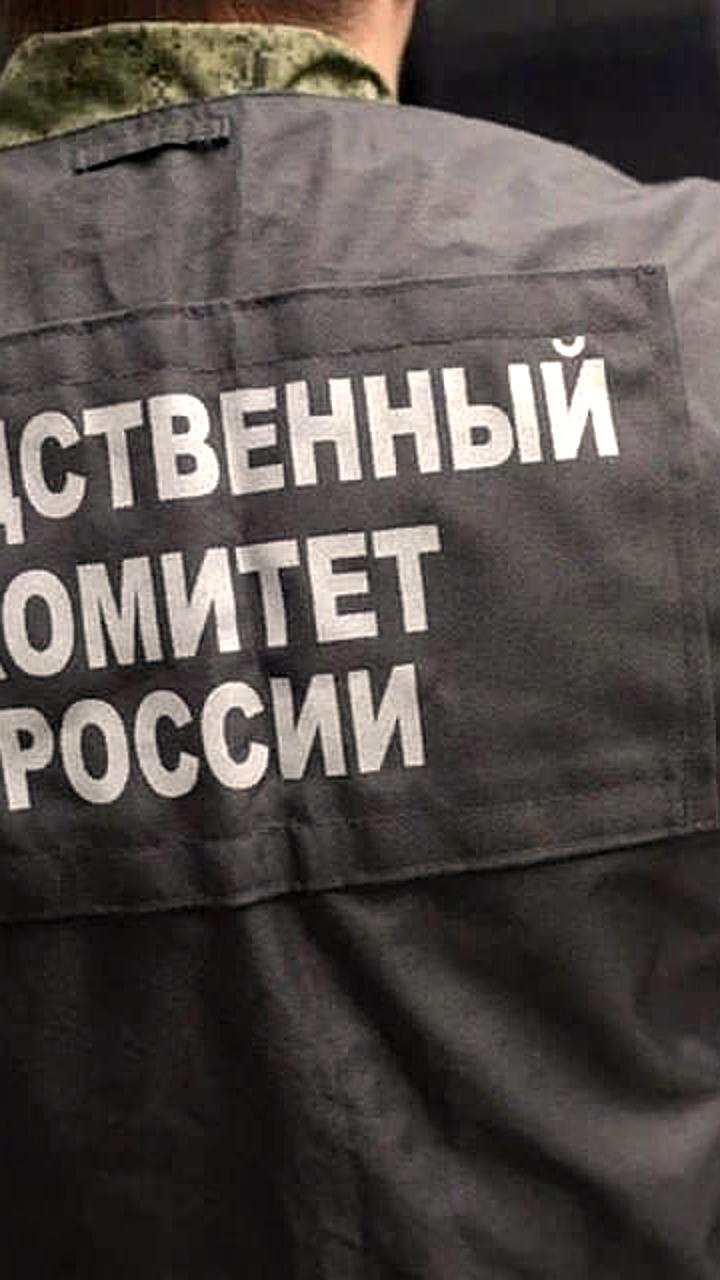 В Бердянске возбуждено уголовное дело по факту убийства 7-летней девочки