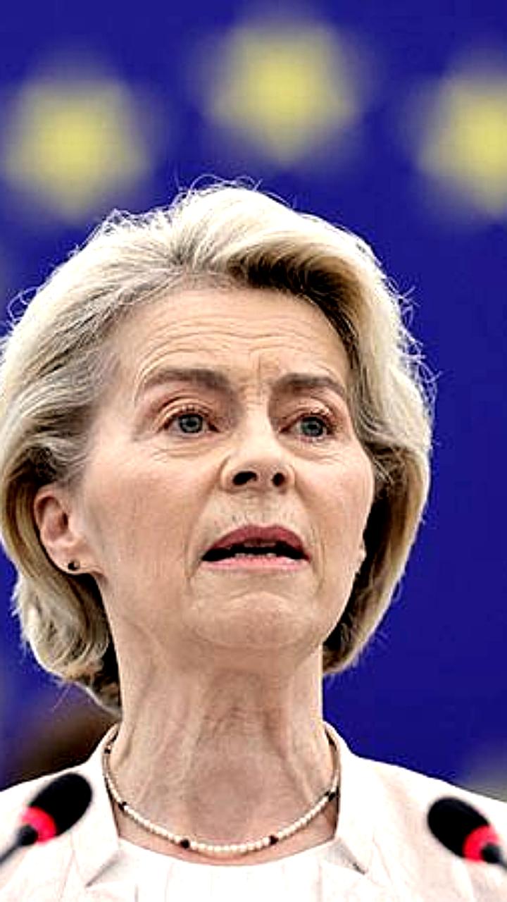 Урсула фон дер Ляйен объявила следующую неделю решающей для Украины после переговоров в Риме