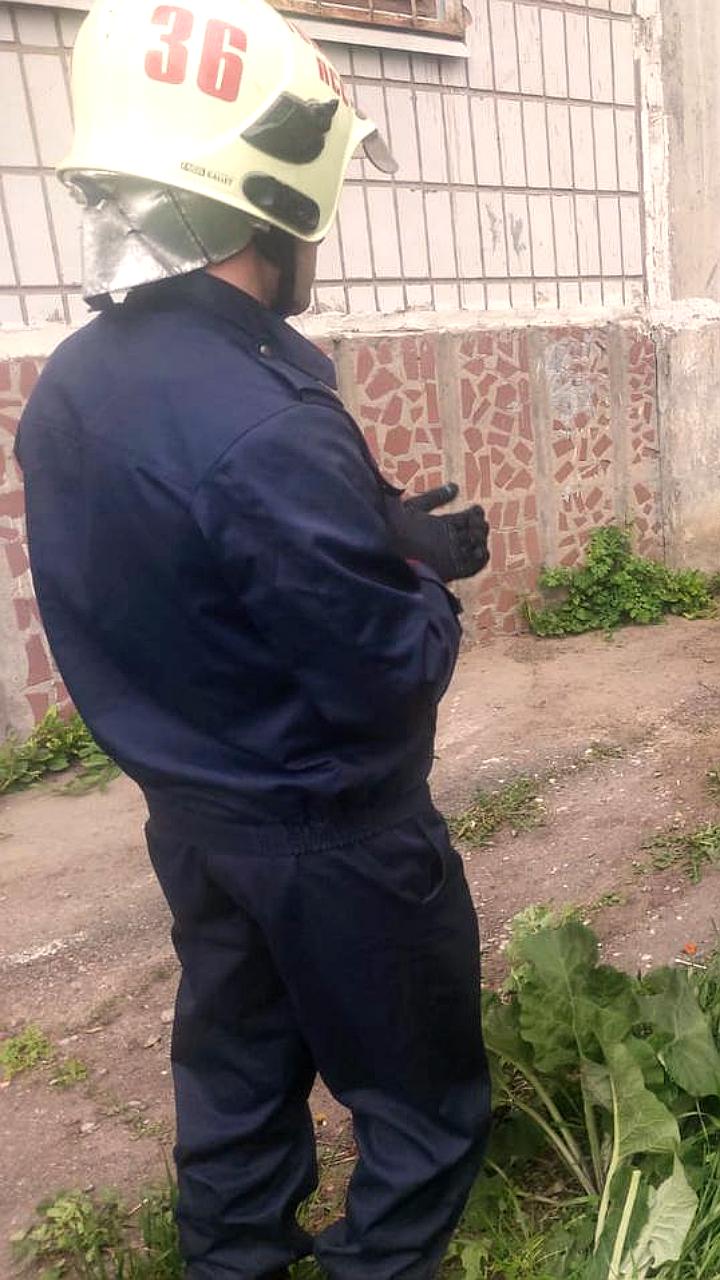 Томские спасатели эвакуировали кота, выпавшего с 8 этажа