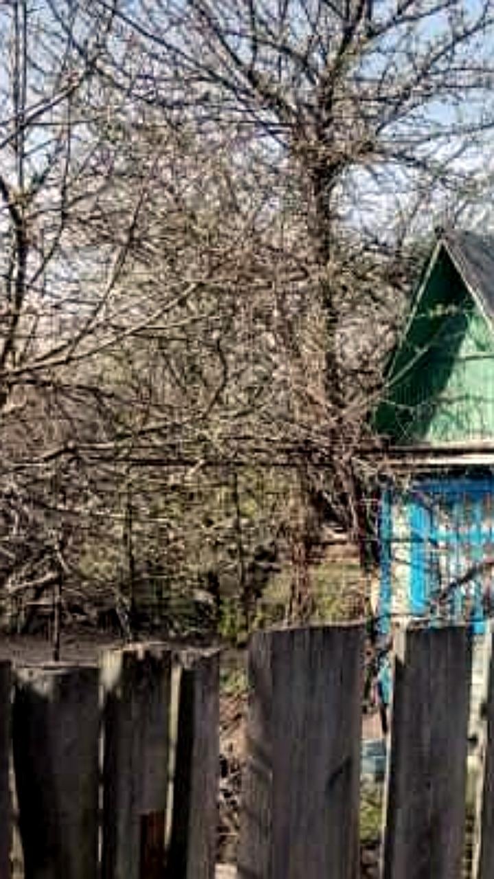 Росреестр предлагает новые штрафы для владельцев земельных участков
