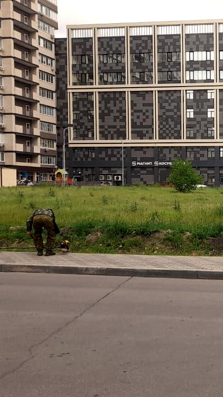 В Омске продолжается покос травы в парках и скверах