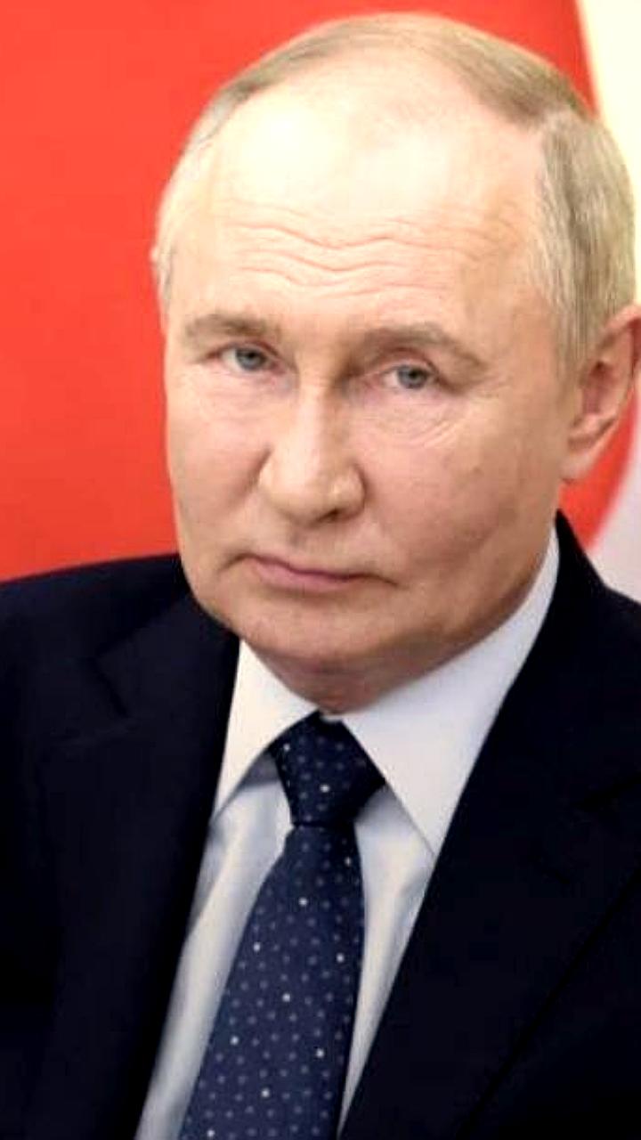 Владимир Путин проведет заседание попечительского совета в Сириусе