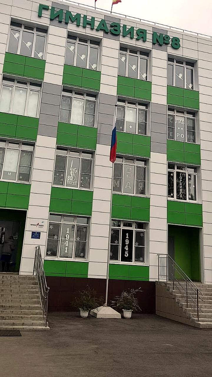 Олег Николаев сообщает о ситуации в шумерлинской гимназии после вспышки норовируса