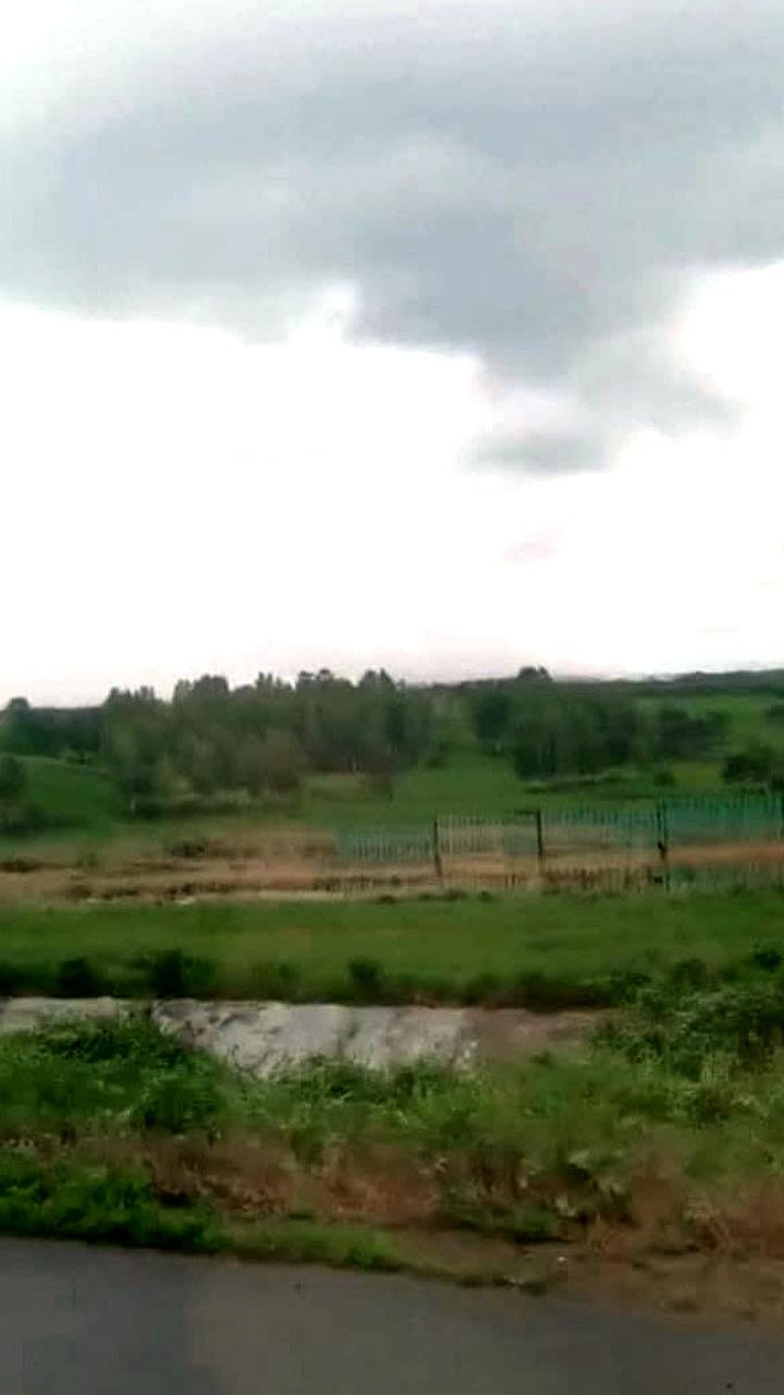 В Бийске локализованы очаги тления на полигоне отходов