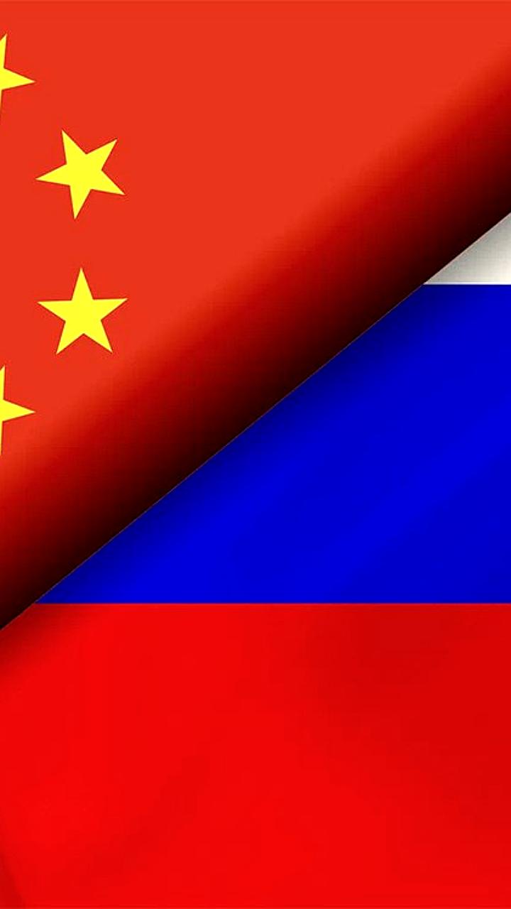 Спрос на международные грузоперевозки между Россией и Грузией увеличился в 2,2 раза в мае 2025 года