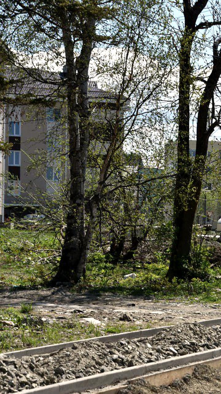 В Новоалтайске началось благоустройство пешеходной зоны