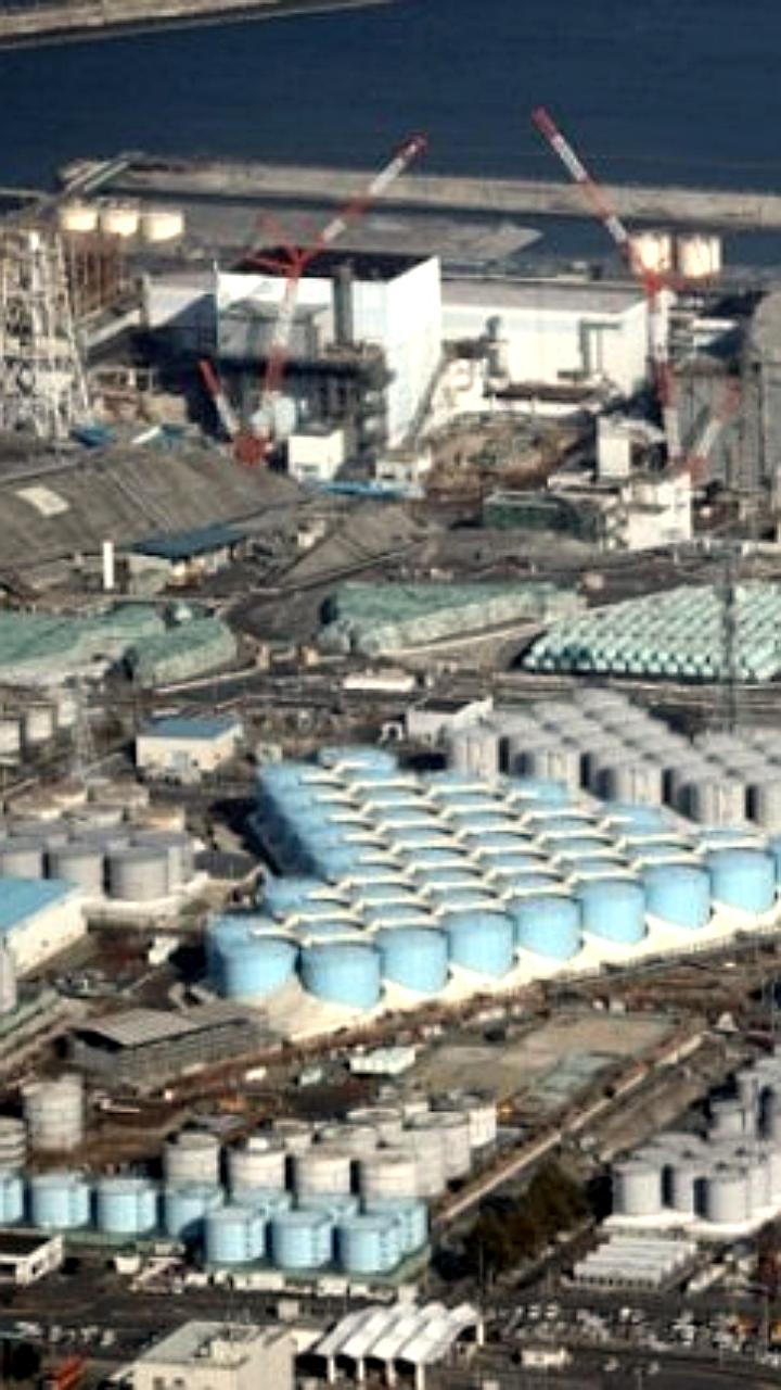 Российские ученые участвуют в контроле сброса воды с АЭС 'Фукусима-1'