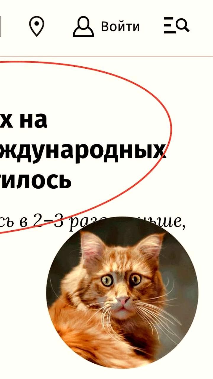Сокращение выхода международных брендов на российский рынок в I квартале 2025 года