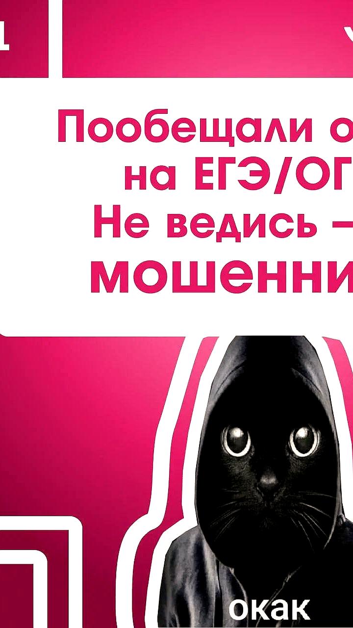 Владивостокские выпускники предупреждены о мошенничестве перед экзаменами