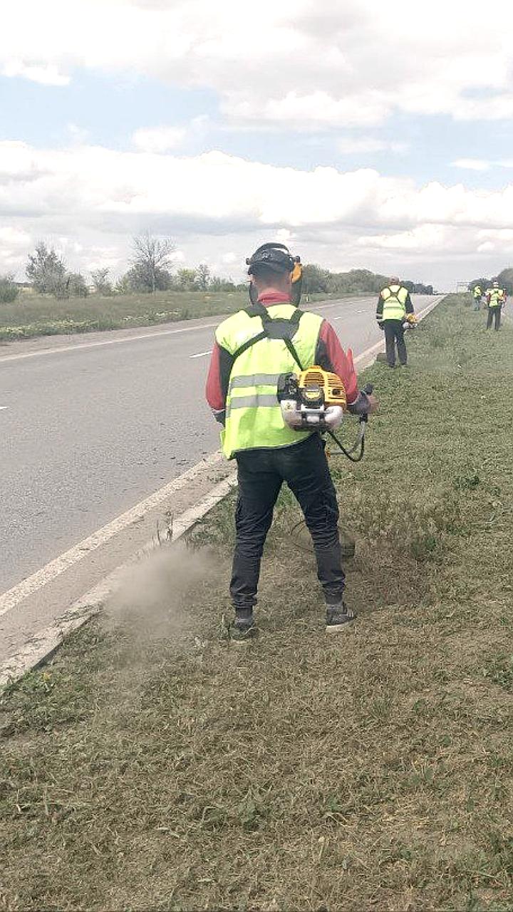 В Заволжском районе и вдоль автодорог начался покос травы для повышения безопасности