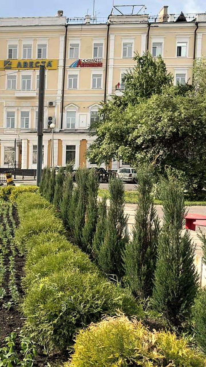 Омск активно озеленяется: высажено 20 тысяч цветов и внедряются новые конструкции
