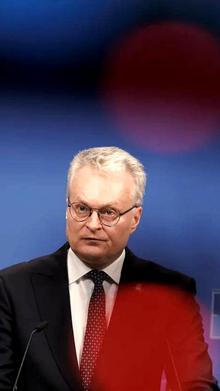 Президент Литвы призывает НАТО поддержать Украину для сохранения репутации альянса